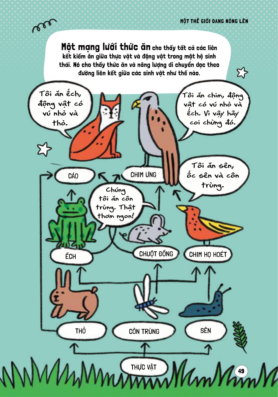 háo hức học hỏi - stem - nguyên nhân và tác động của biến đổi khí hậu… và làm thế nào để bảo vệ hành tinh của chúng ta