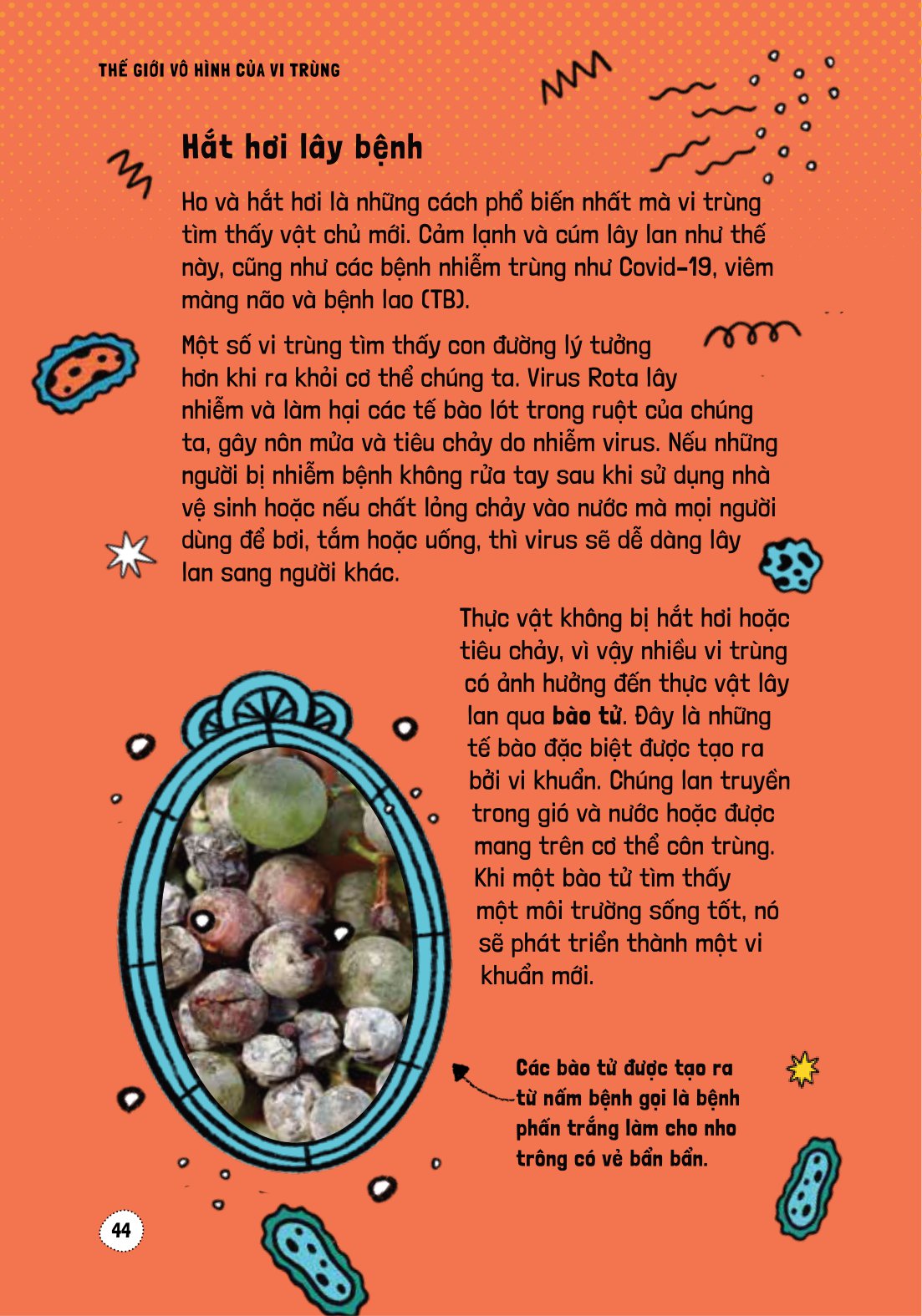 háo hức học hỏi - stem - thế giới vô hình của vi trùng… và tác động của chúng đến cuộc sống chúng ta