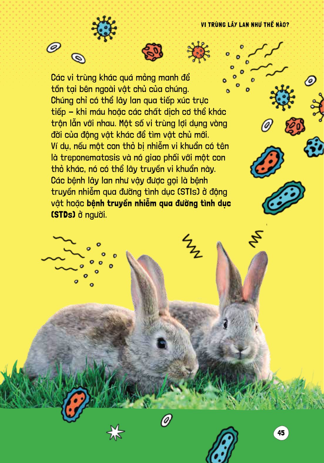 háo hức học hỏi - stem - thế giới vô hình của vi trùng… và tác động của chúng đến cuộc sống chúng ta