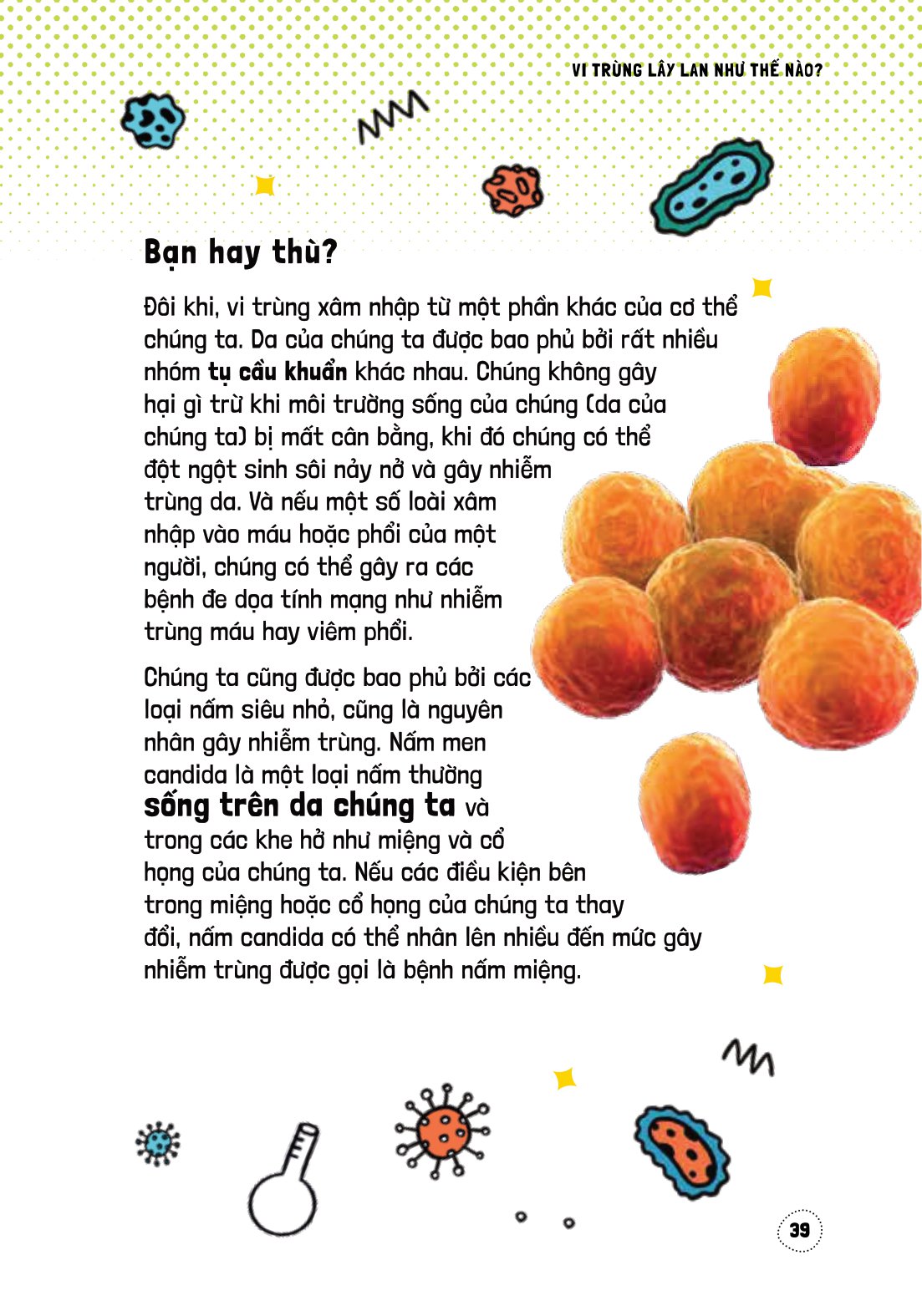 háo hức học hỏi - stem - thế giới vô hình của vi trùng… và tác động của chúng đến cuộc sống chúng ta