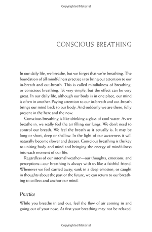 happiness - essential mindfulness practices