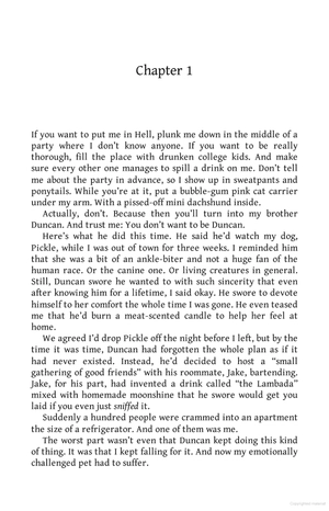 happiness for beginners