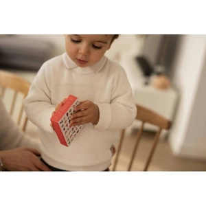 happy families - the savannah