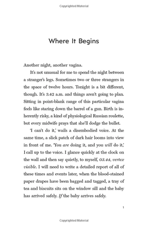 hard pushed: a midwifeℹs story