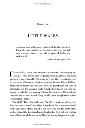 harry and meghan (revised): life, loss, and love