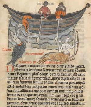 harry potter - a history of magic: the book of the exhibition