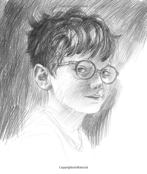 harry potter - a history of magic: the book of the exhibition