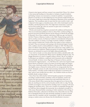 harry potter - a history of magic: the book of the exhibition