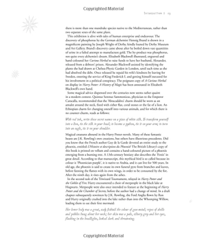 harry potter - a history of magic: the book of the exhibition