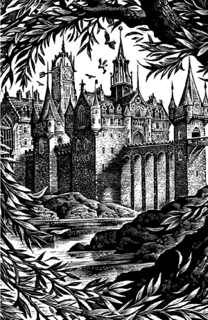 harry potter and the chamber of secrets