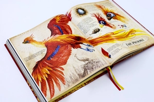 harry potter and the chamber of secrets - deluxe edition