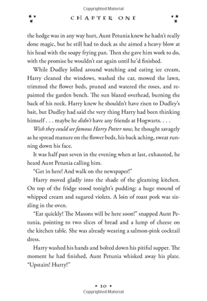 harry potter and the chamber of secrets (hardback)