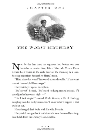 harry potter and the chamber of secrets (hardback)