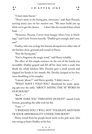 harry potter and the chamber of secrets (hardback)