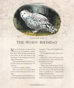 harry potter and the chamber of secrets: illustrated edition