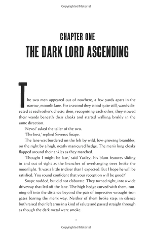 harry potter and the deathly hallows