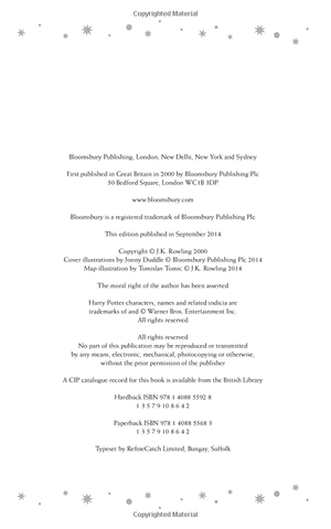 harry potter and the goblet of fire (2014)