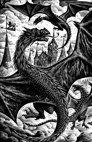 harry potter and the goblet of fire (hardback)