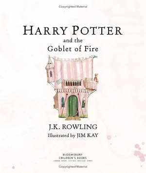 harry potter and the goblet of fire illustrated edition