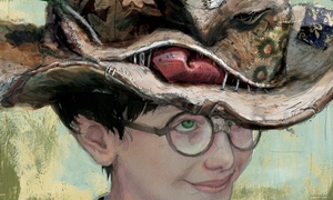 harry potter and the philosopher's stone - deluxe edition