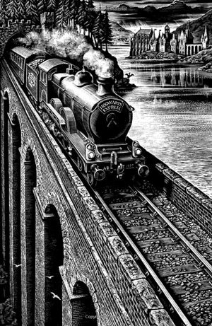 harry potter and the philosopher's stone (hardback)