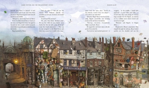 harry potter and the philosopher's stone - illustrated uk edition