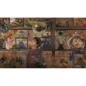 harry potter and the prisoner of azkaban - illustrated edition