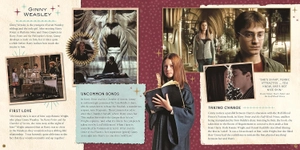 harry potter - friends & foes: a movie scrapbook