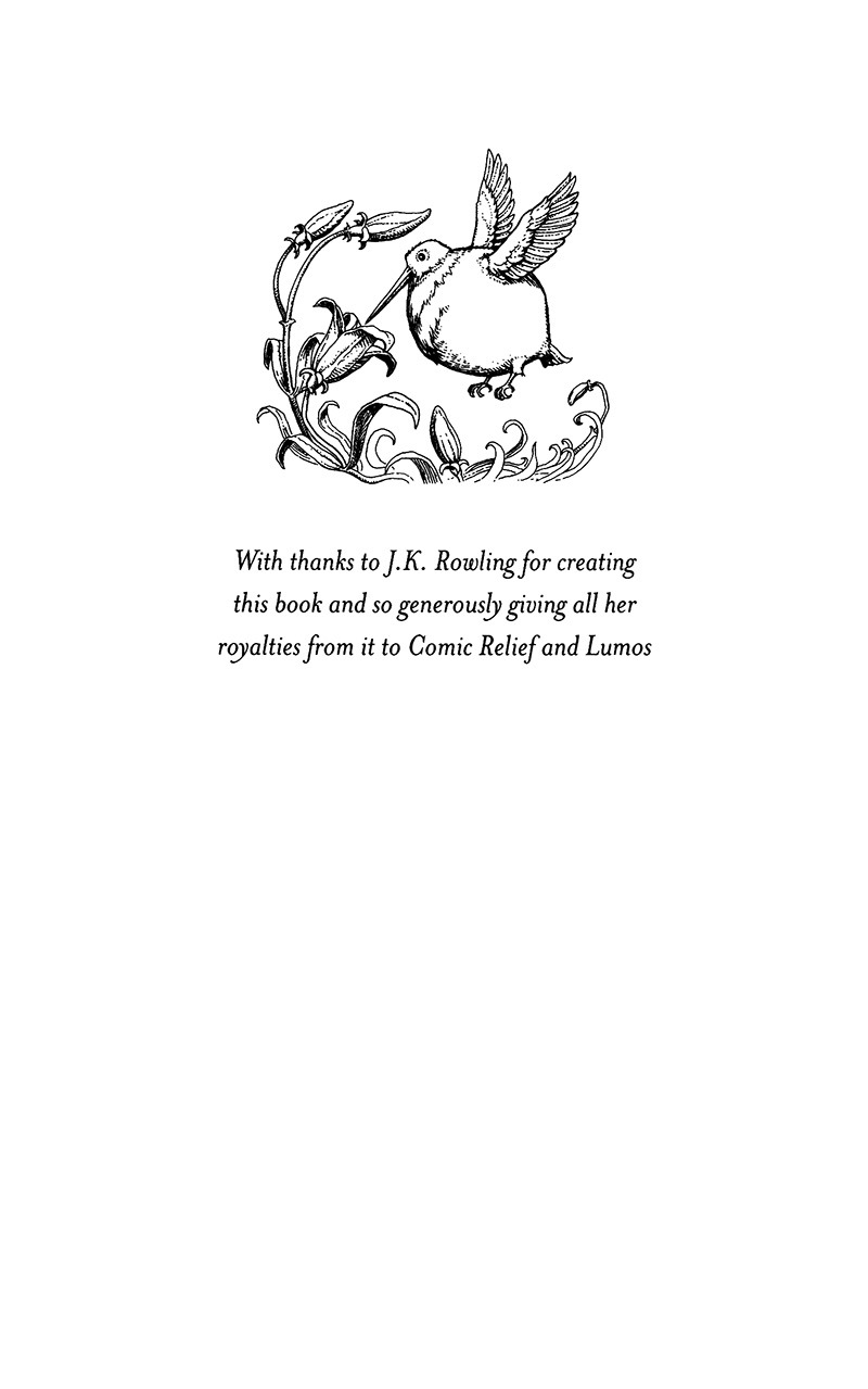 Harry Potter Ngoai Truyen - Quidditch Qua Cac Thoi Dai - Quidditch Through The Ages (Tai Ban 2025)