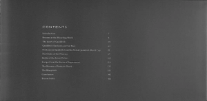 harry potter - the broom collection and other artefacts from the wizarding world