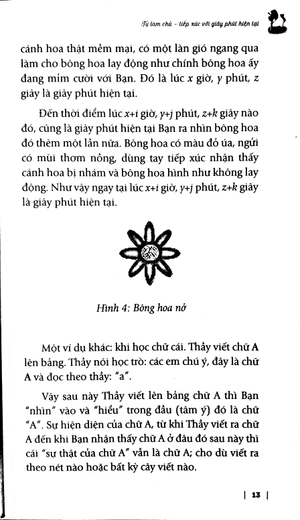 hạt giống nảy mầm - thiền