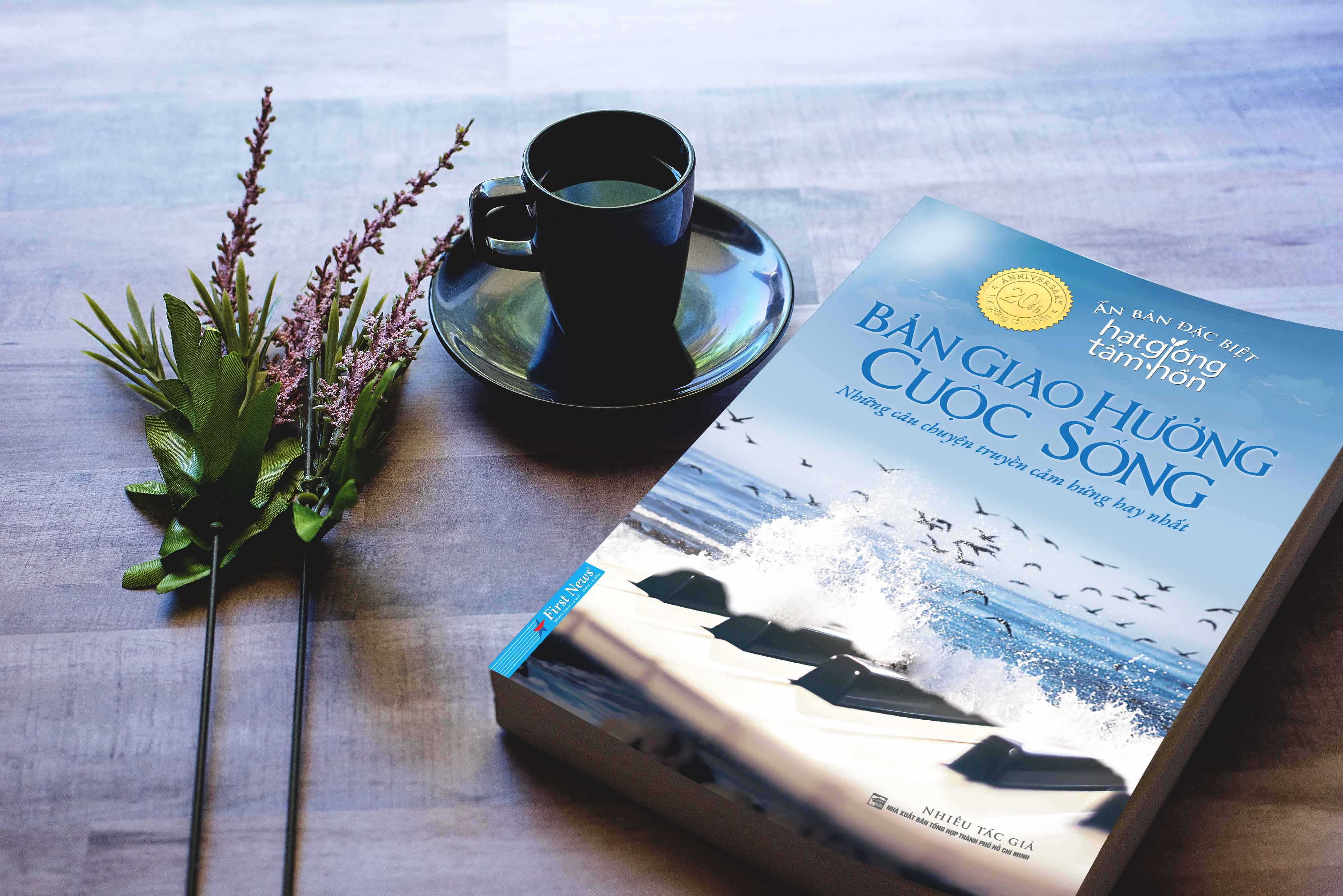 hạt giống tâm hồn - bản giao hưởng cuộc sống - ấn bản đặc biệt