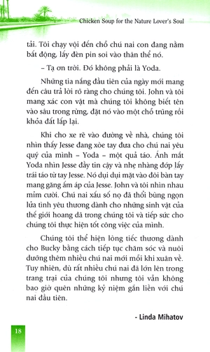 hạt giống tâm hồn - thiên nhiên liều thuốc nhiệm màu