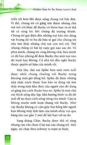 hạt giống tâm hồn - thiên nhiên liều thuốc nhiệm màu