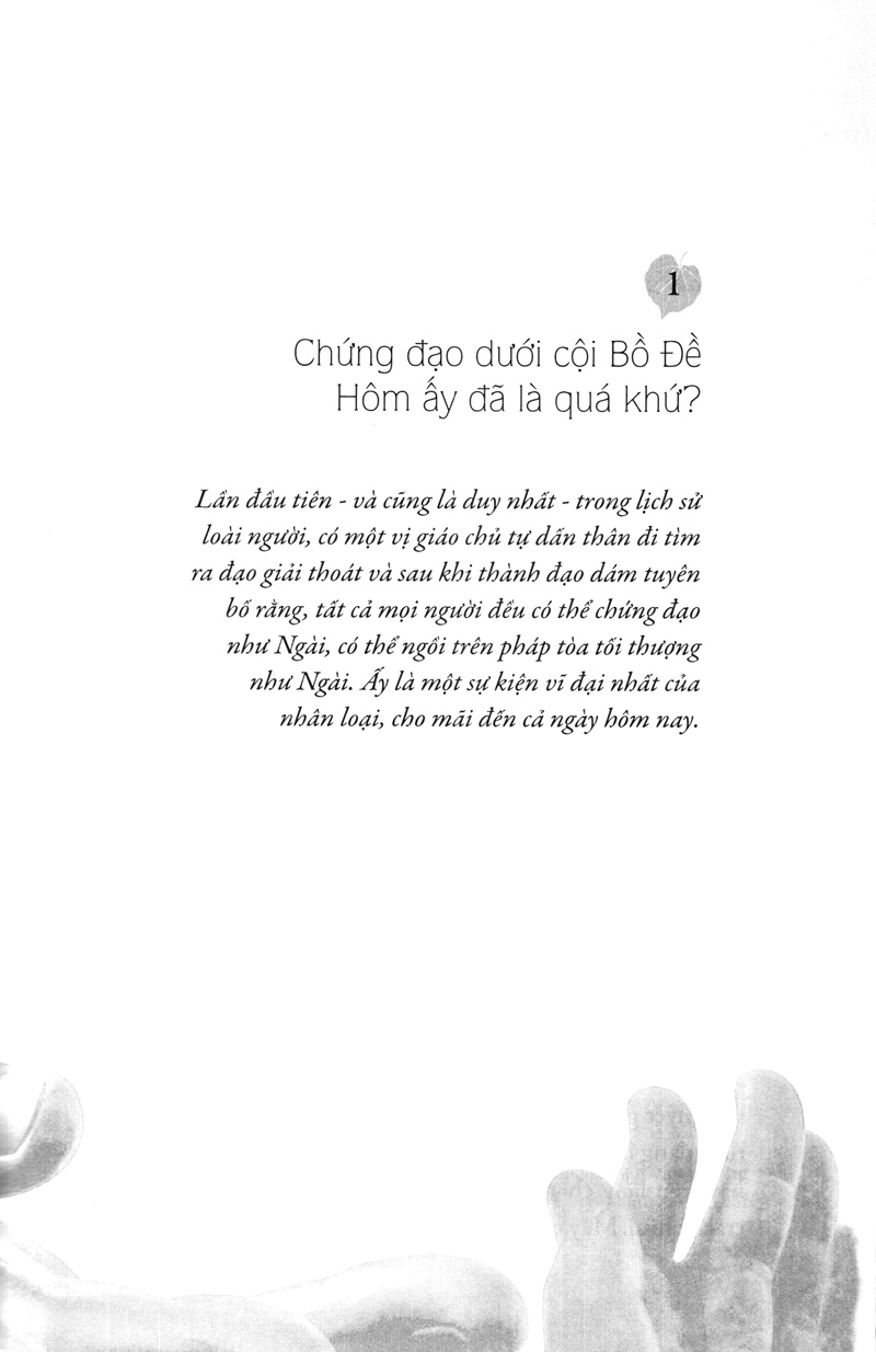 hạt nắng bồ đề