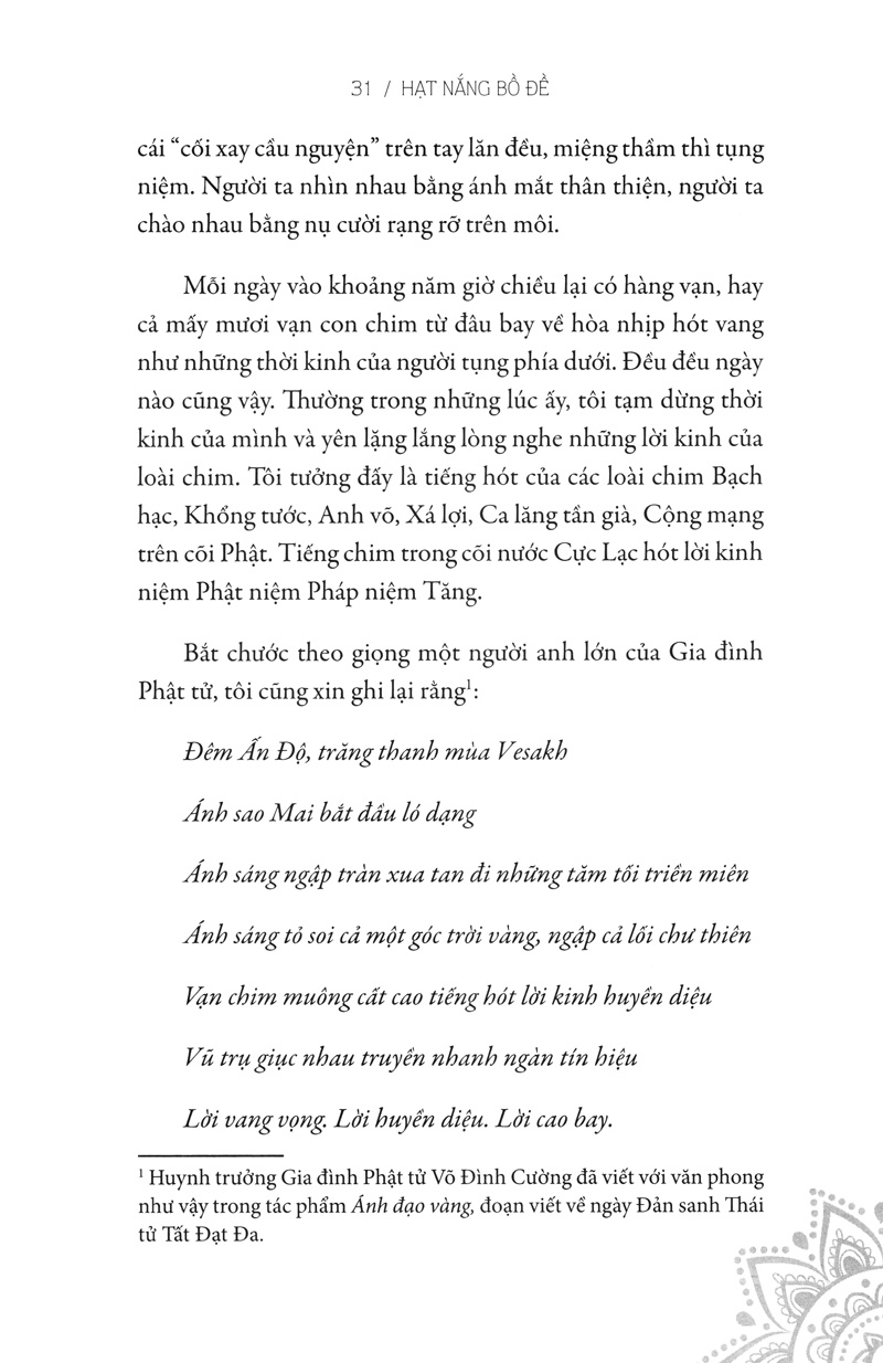 hạt nắng bồ đề