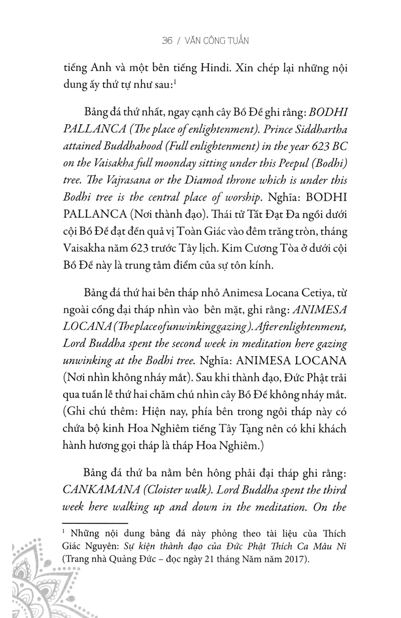 hạt nắng bồ đề