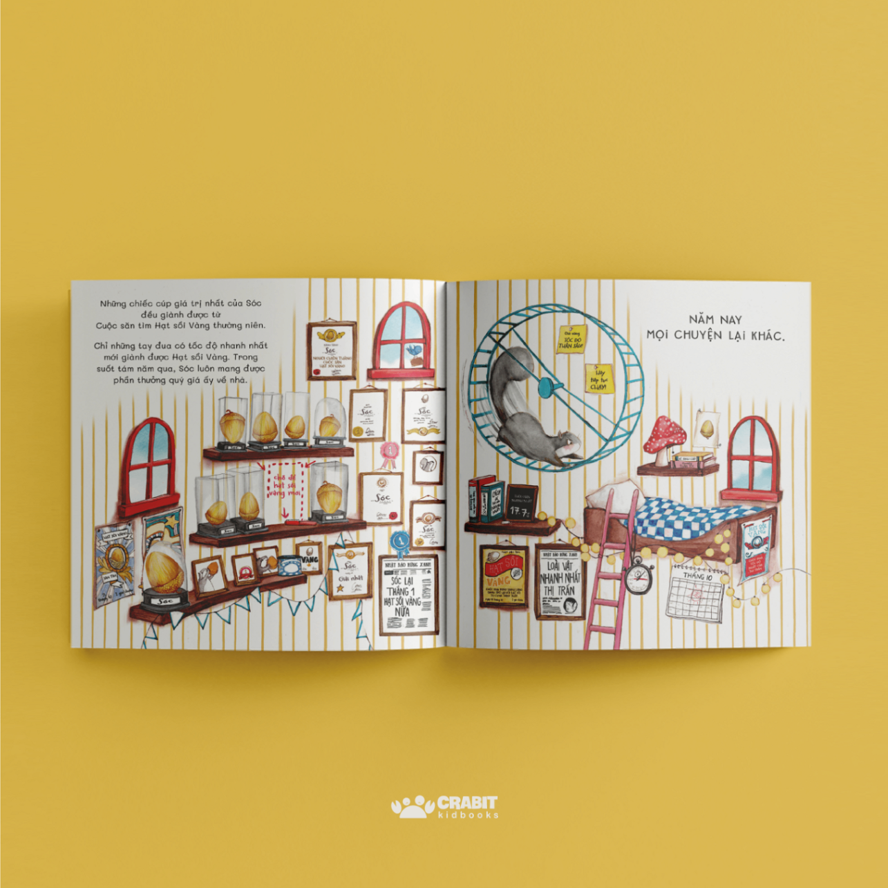 hạt sồi vàng - bìa cứng