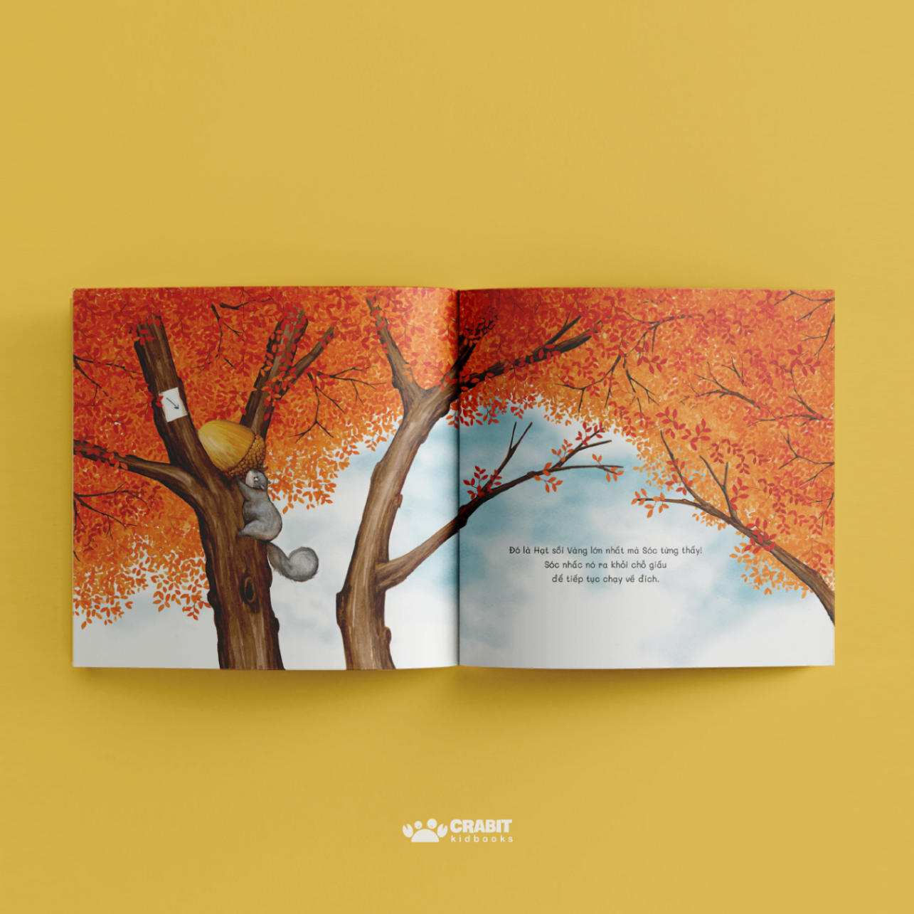 hạt sồi vàng - bìa cứng