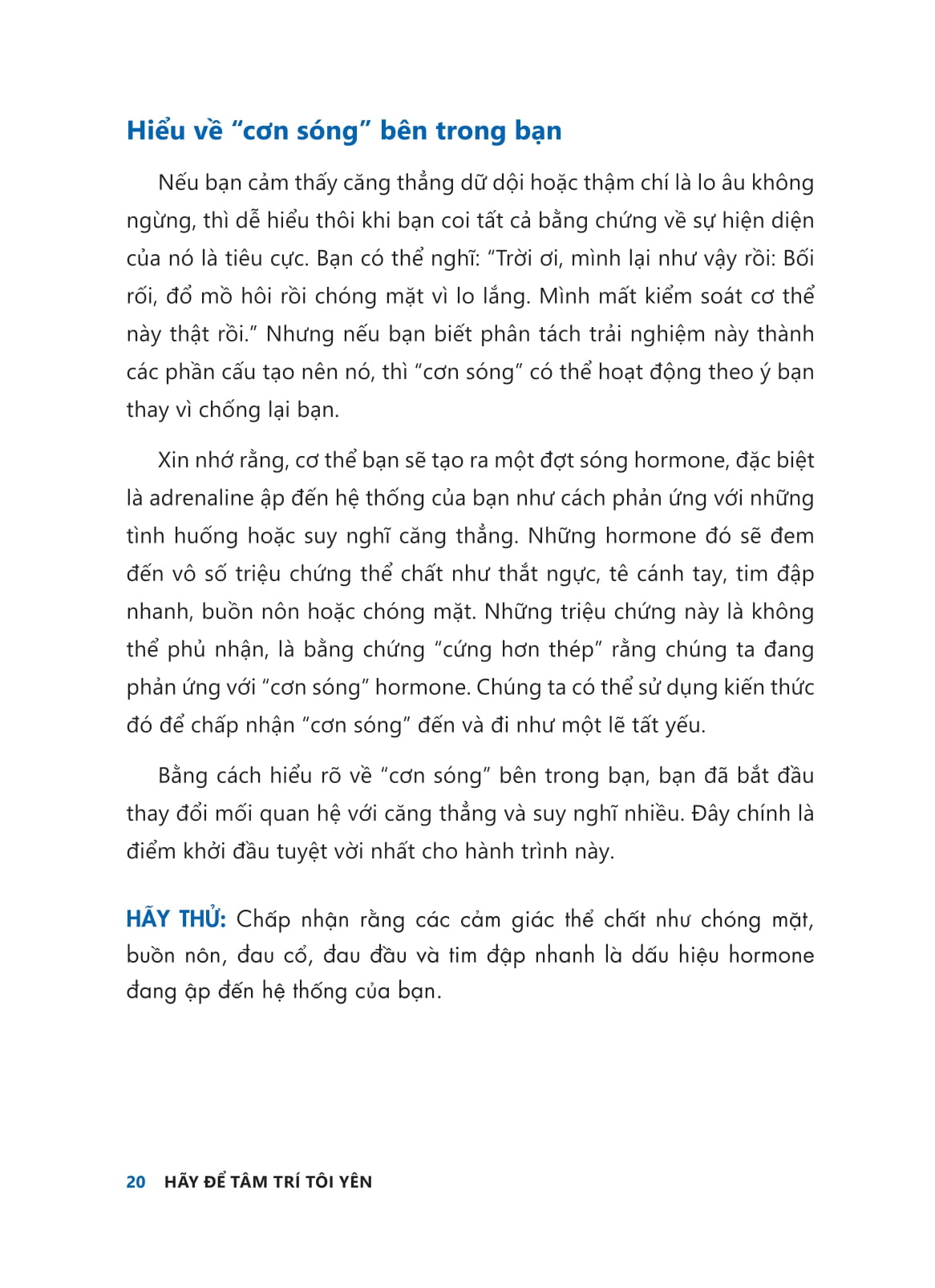 hãy để tâm trí tôi yên - hướng dẫn loại bỏ “suy nghĩ tiêu cực” cho người dễ lo âu