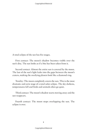 he said/she said: a novel