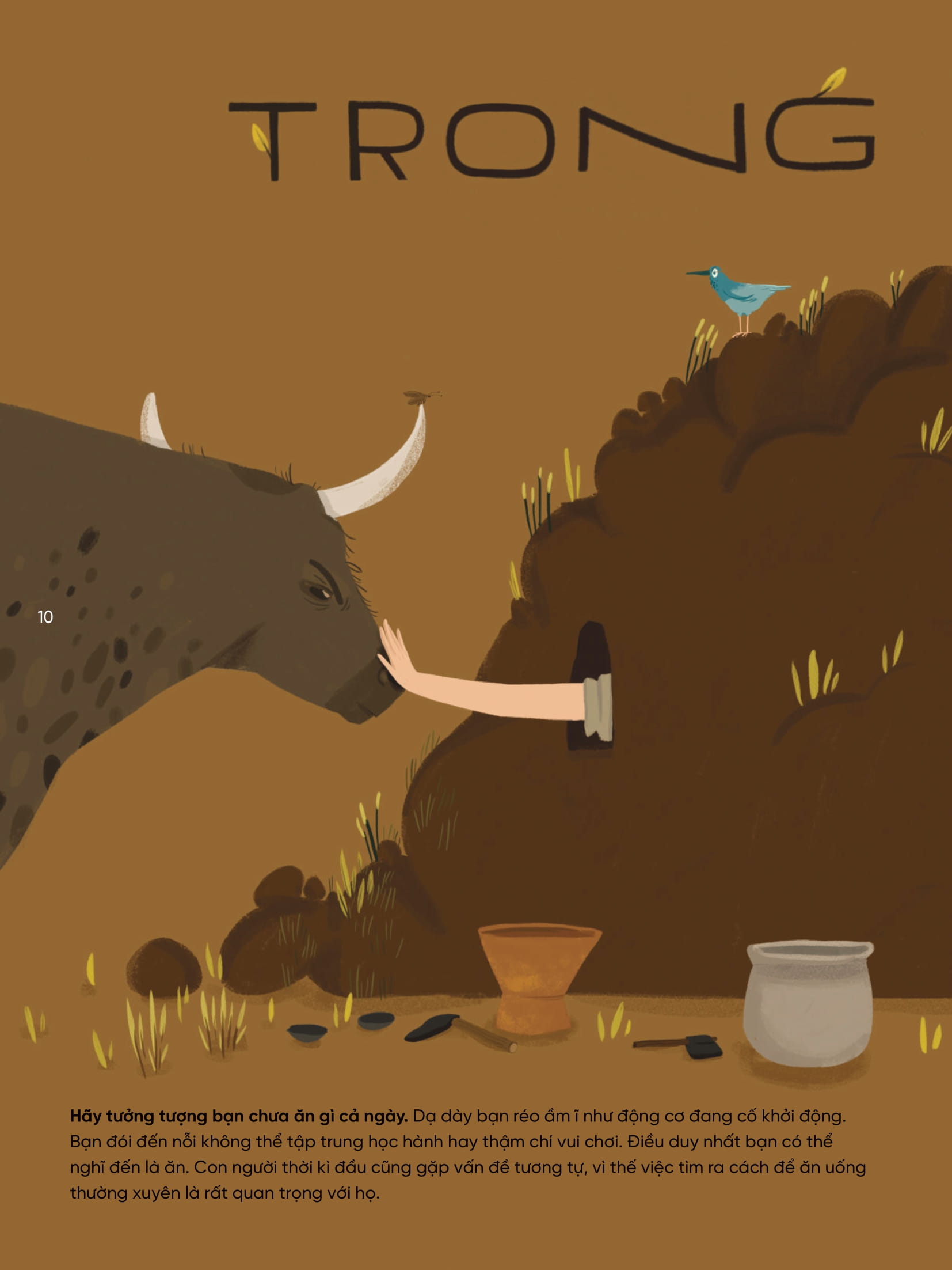 He Sinh Thai Tren Trai Dat - Thuc Pham