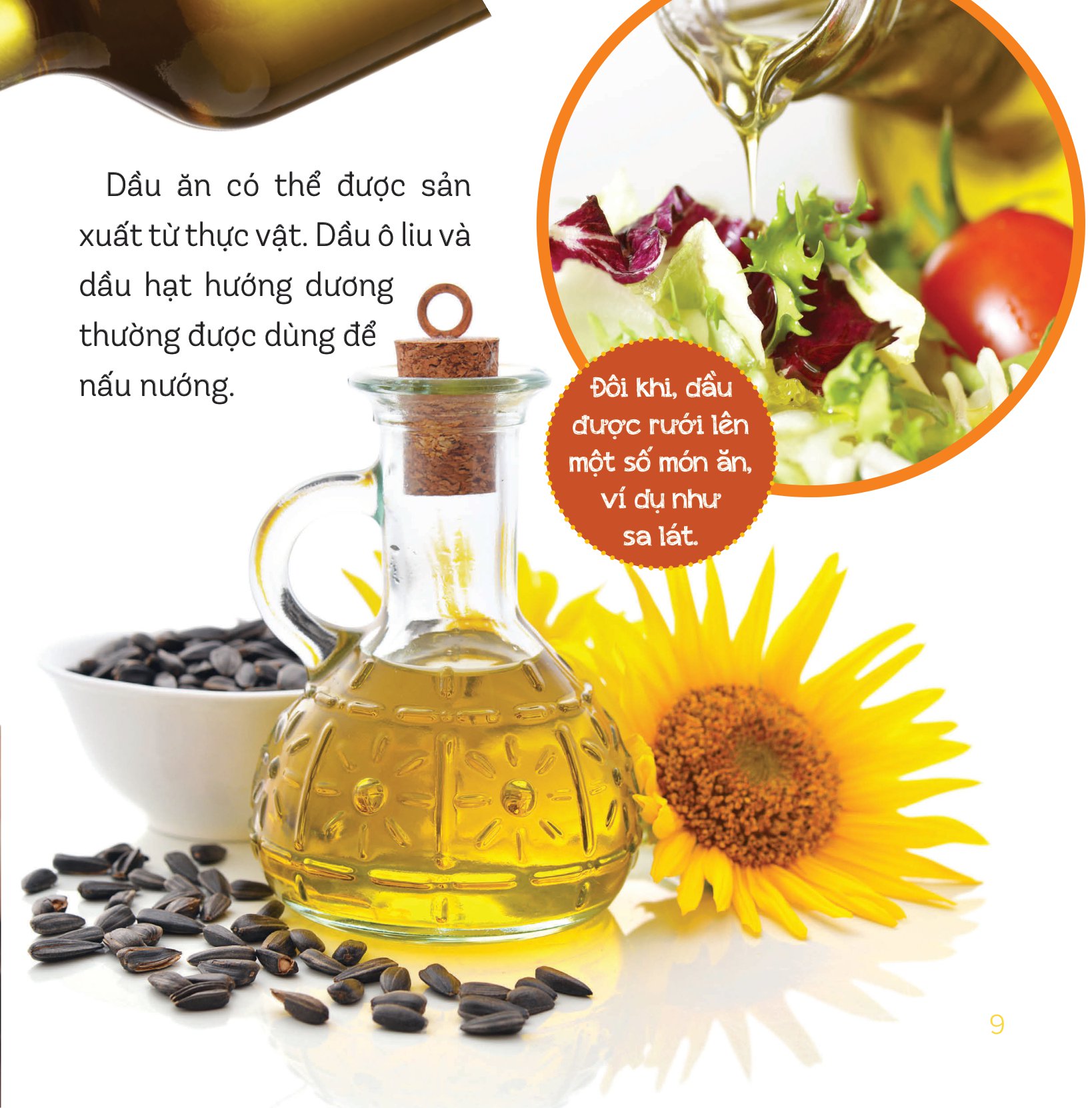 healthy eating - ăn uống lành mạnh - đường và chất béo