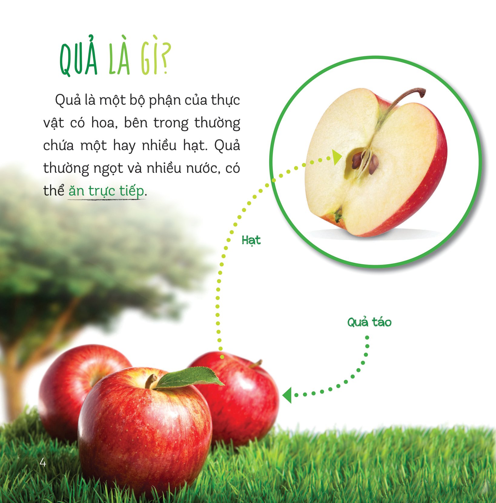 healthy eating - ăn uống lành mạnh - hoa quả