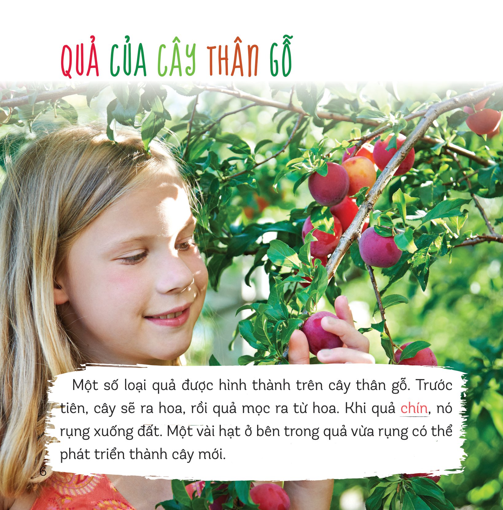 healthy eating - ăn uống lành mạnh - hoa quả