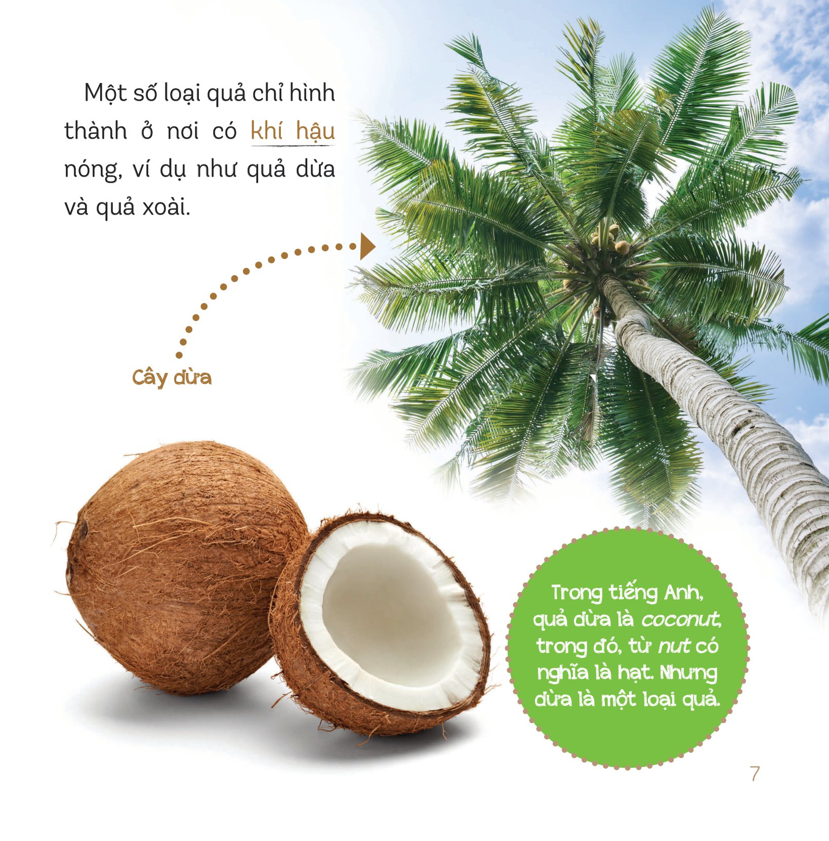 healthy eating - ăn uống lành mạnh - hoa quả