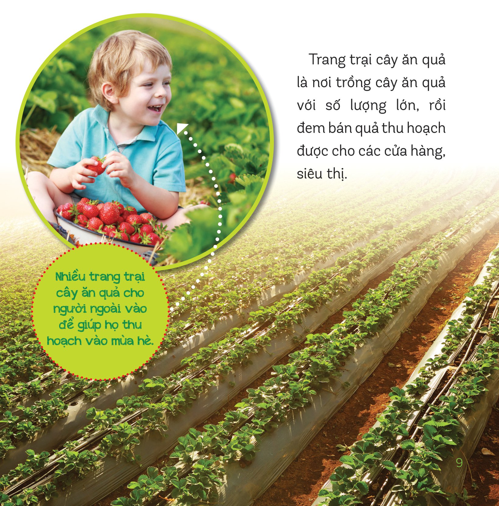 healthy eating - ăn uống lành mạnh - hoa quả