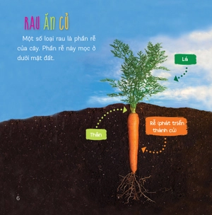 healthy eating - ăn uống lành mạnh - rau củ