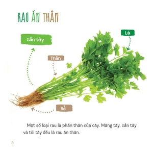 healthy eating - ăn uống lành mạnh - rau củ
