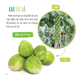 healthy eating - ăn uống lành mạnh - rau củ